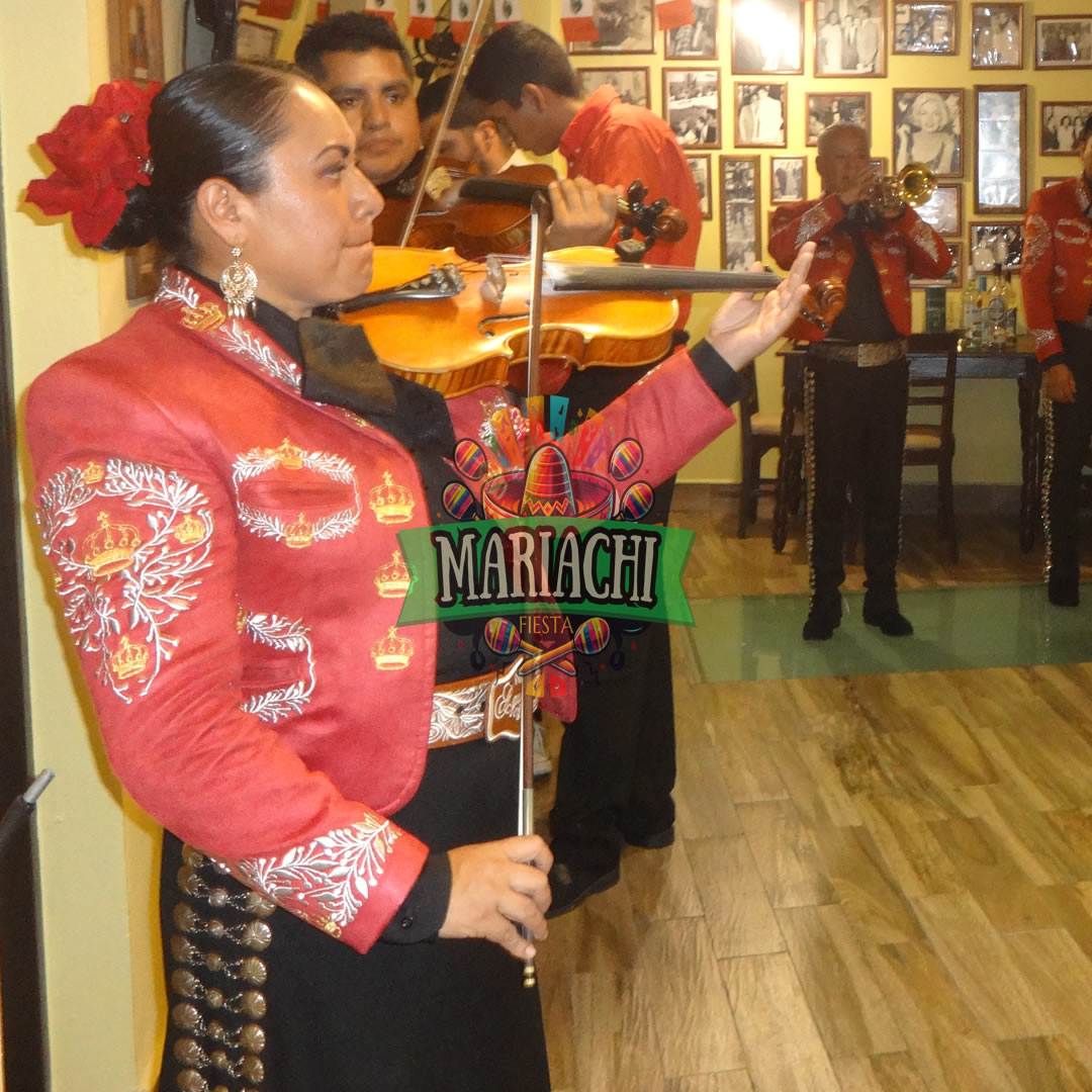 servicio mariachis en CDMX