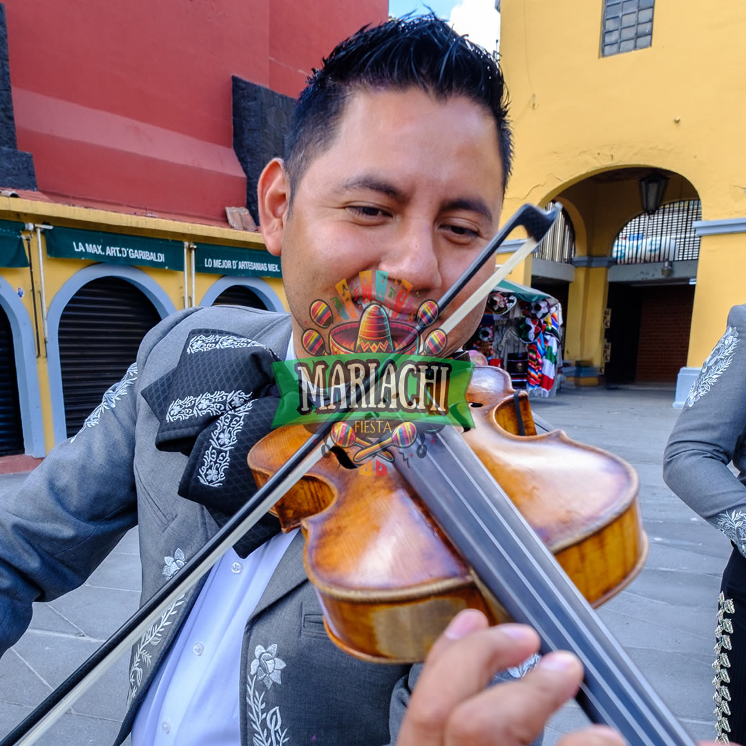 servicio mariachis en CDMX