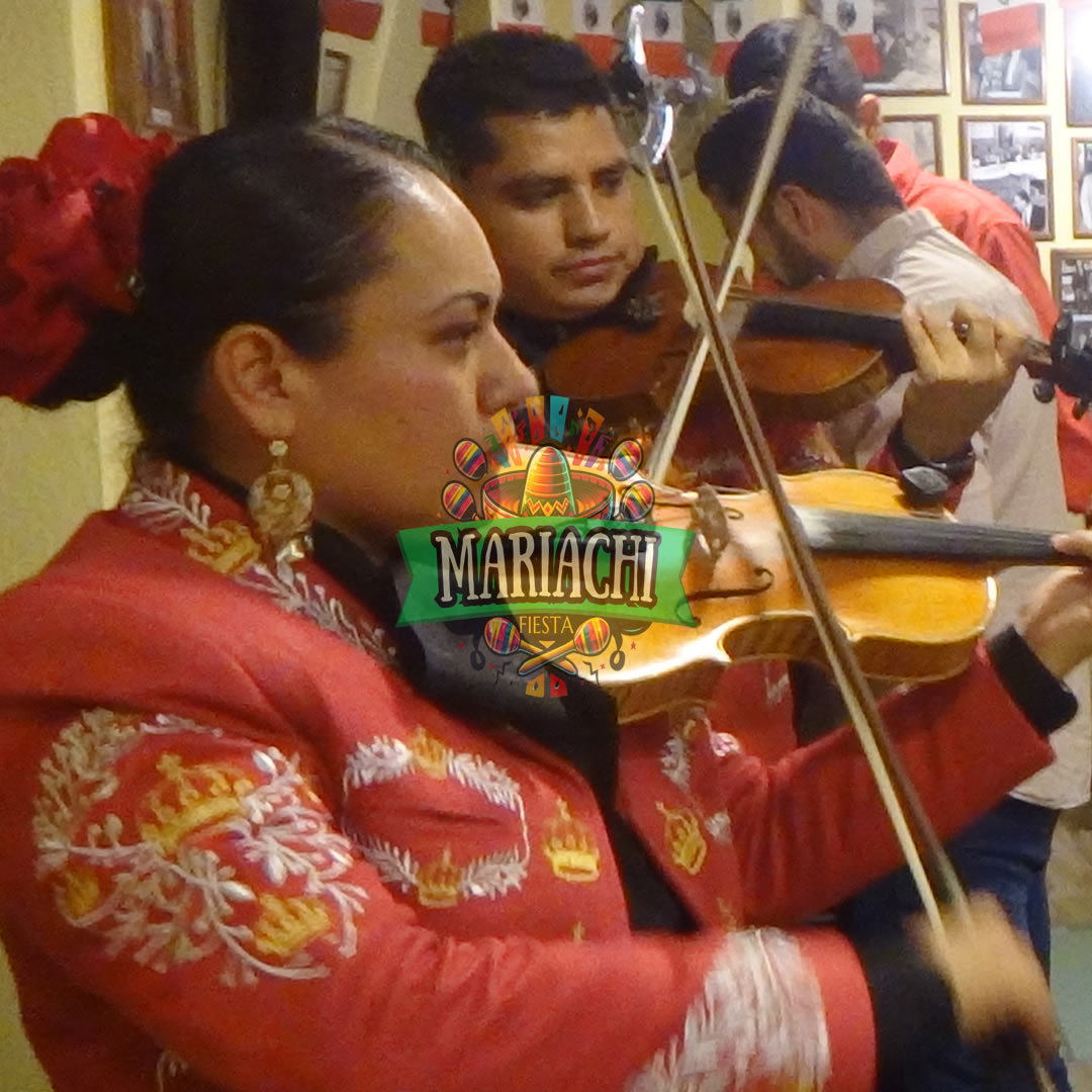 servicio mariachis en CDMX