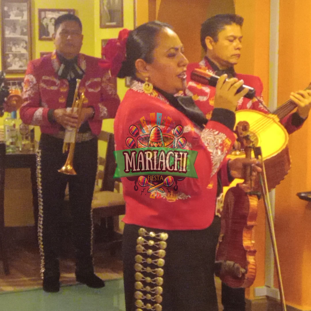 servicio mariachis en colonia Pedregal de Santo Domingo