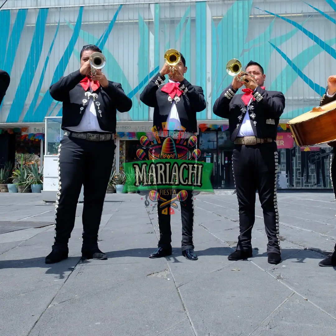 serenata mariachi cdmx